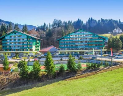 1BR Apartment w/ Balcony, Kitchen & Sleeper Sofa – Alpine Club Resort