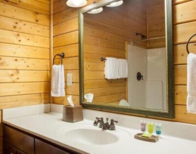 2BR King Suite w/ Full Kitchen – bg Shenandoah Crossing